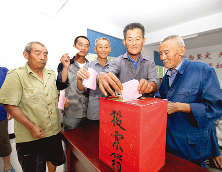 淮南大通:民主选举村支书(图)|党员|支部