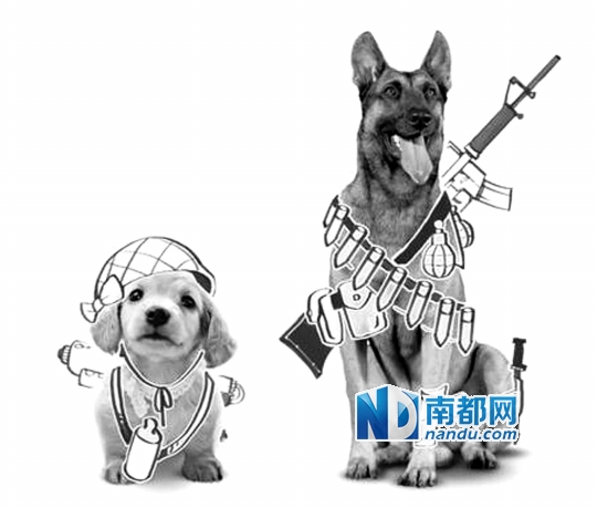 往上数,有一部1985年的《狼犬历险记》,导演张辉,由长春电影制片厂