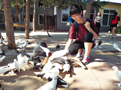 夏令营中有很多亲近自然的户外活动，比如给鸽子喂食。资料图片