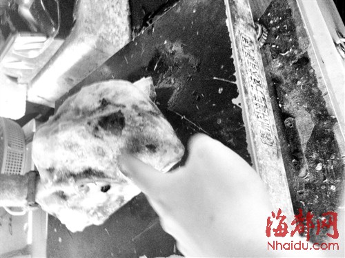 福州洪山桥附近的山野海鲜市场,有摊主卖冰冻的鲎