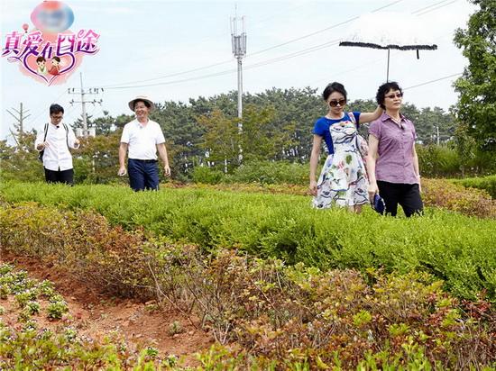 明星老公集体 控诉 老婆 王铮亮曾遭岳母嫌弃?