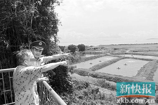 ■老人凭栏远眺。