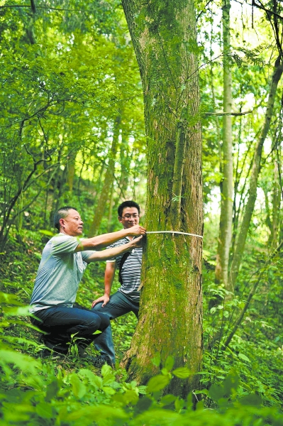 城步县多少人口_城步县地图(3)