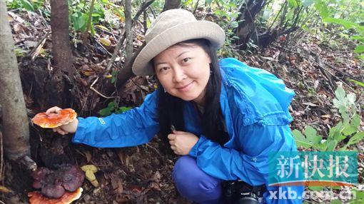 你知道植物怎样查户口吗|中药|学生