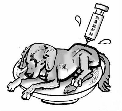 毒狗肉除流向各被告人自己所在地的农贸市场外，还被卖到浙江永康、临海，及江西南昌、上饶等地。　　　郭山泽/漫画