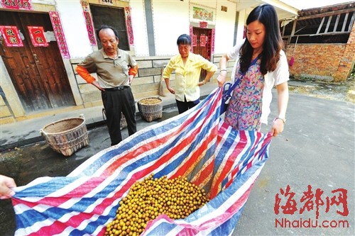 海都记者体验磨皮的工序