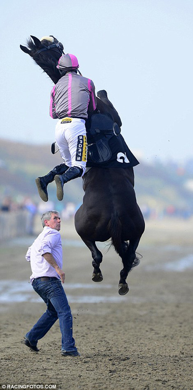 赛马突然暴跳半空险踏马夫 终被骑手制服|骑手