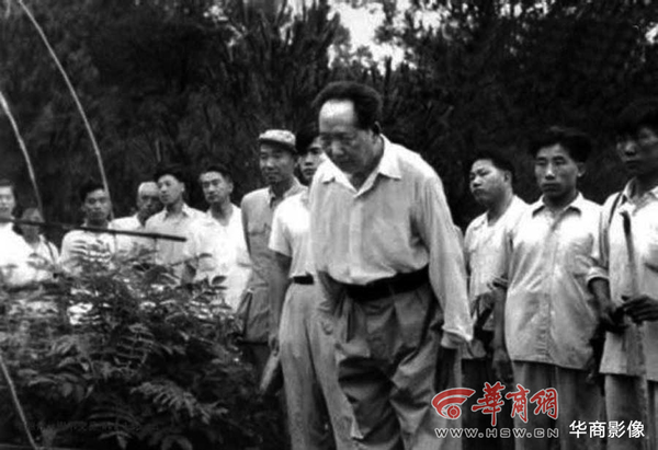 亲人们|毛泽东|文七妹