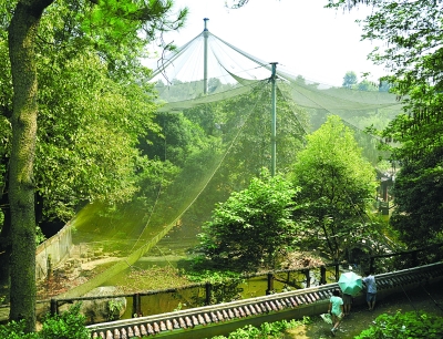 ( 9月7日，长沙市岳麓山风景区，鸟语林大门紧闭，几名游客只得在后门围墙边隔网看鸟。记者 田超 摄 )