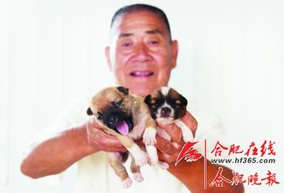 ○在尚未建成的新基地裡出生的小狗狗,負擔更重瞭。