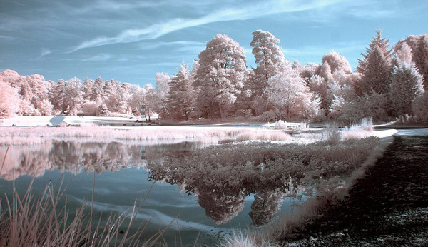 英国摄影师利用红外变焦夏季拍出冬季雪景(组图)