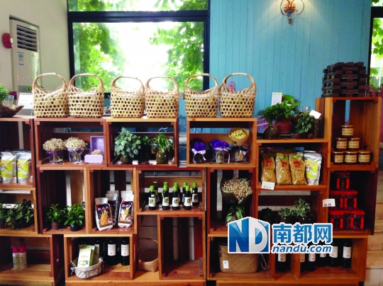 维生素餐厅，珠江新城一个“偶尔一点肉”的生活概念店。