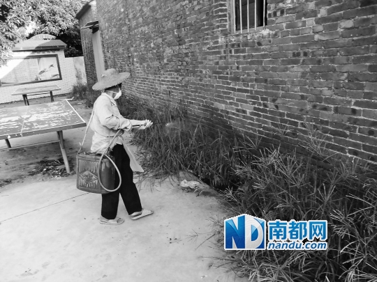 江门市正加强对蚊虫的喷杀工作。通讯员供图