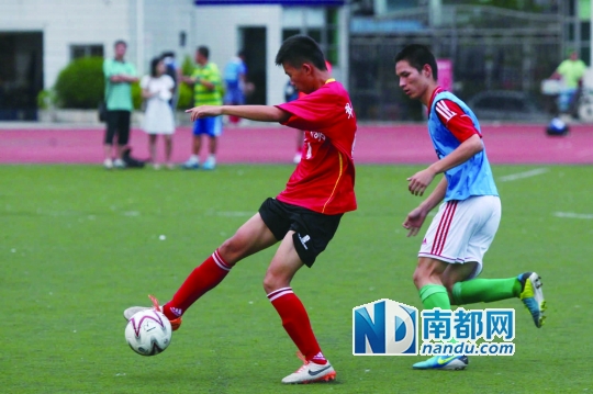 瞧,深圳足球小将汗水挥洒绿茵场|足球|足球队