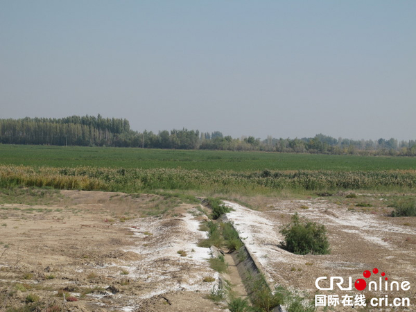 兵团共青团农场创建于1958年，当时13名共青团员来到这片荒滩和盐碱地上，经过数十年的努力，建起适宜于大规模机械化耕作的绿色家园。远处是绿色的农田，近处白色的盐碱地依然清晰可见。