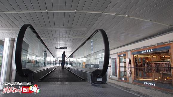人行步道。燕赵都市报记者 田明/摄