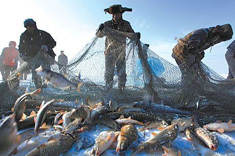阿勒泰冰雪童话王国亮相第九届中国新疆冬博