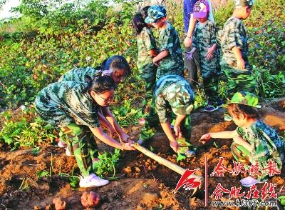 我们的假期不一样|孩子|小学