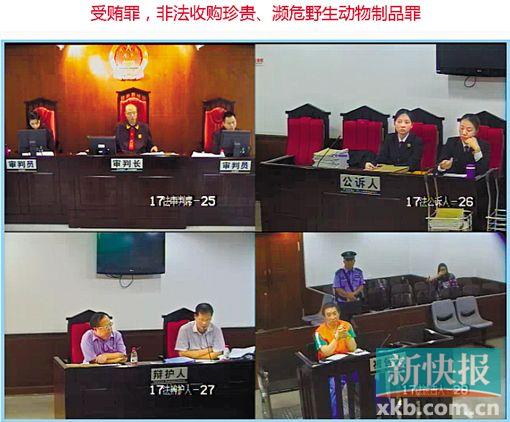 ■朱家栋案庭审昨天在网上进行直播。通讯员供图