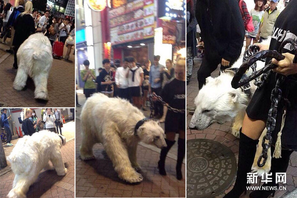 女子牵着白熊遛街，街边的人们纷纷驻足拍照（拼图）