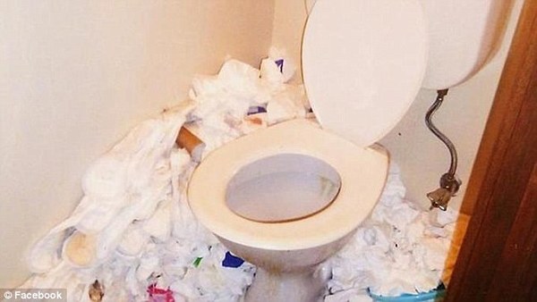 厕所里一团糟。(图片来源:脸谱网)