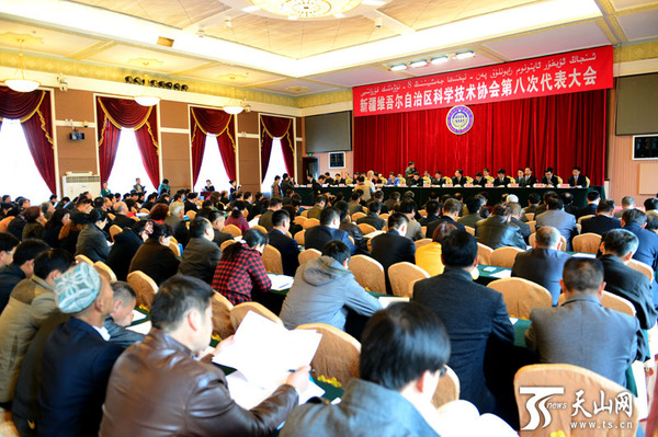 自治区科协第八次代表大会于10月29日圆满闭幕。