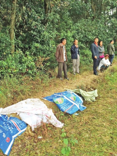 江西3小学生遭砍杀续:目击者称嫌犯专砍男孩(图)