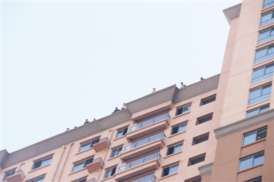 小顶顶_小鸡小鸡_小顶顶月收入(2)