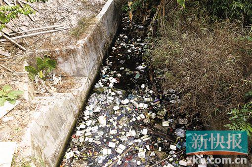 白云区环保局查处污染黑点|污水|污水处理厂