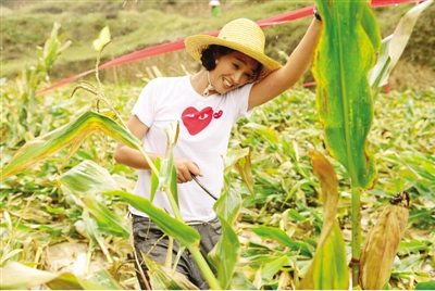 朱丹受伤向男友撒娇|节目|朱丹_凤凰资讯