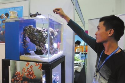 渔乐天下海洋经济也休闲|游客|旅游资源