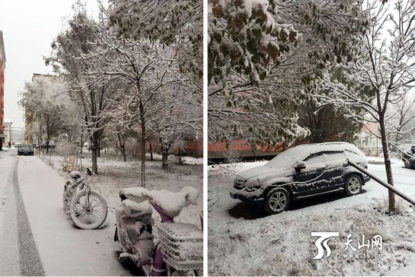 11月13日早7点左右，受北方冷空气和西南暖湿气流影响，新疆塔城地区开始普降小雪。