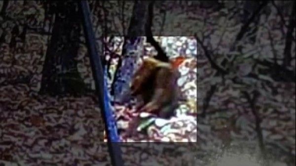 美国两州接连发生狗头人身怪物目击事件。