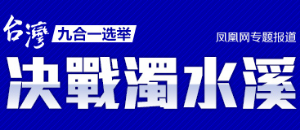 2014台湾九合一选举