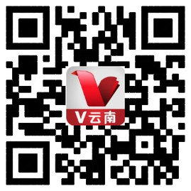云南网客户端