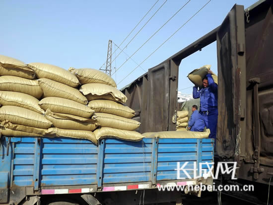 河北省秋粮收购工作陆续展开 每斤价格1.12元