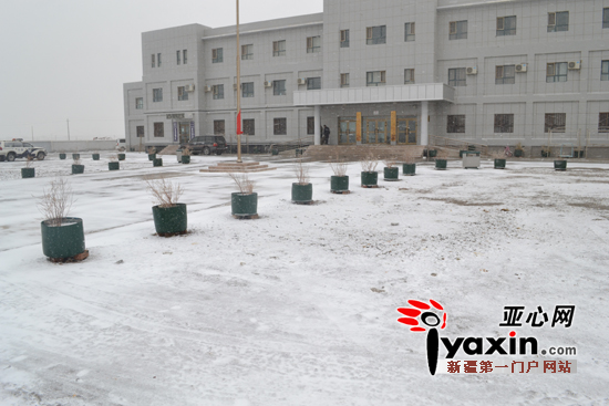 图为巴州罗布泊管委会办公楼前的降雪。