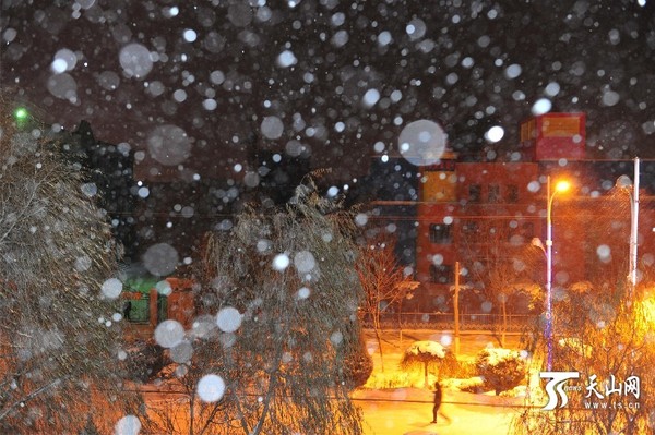 12月7日晚地处伊犁河谷的尼勒克县降下大雪
