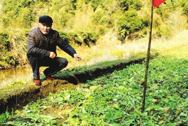 大胆泼猴,竟敢毁我庄稼|村民|猴子