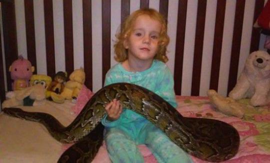 　　美国父亲让巨蟒和女儿们共舞（视频截图）