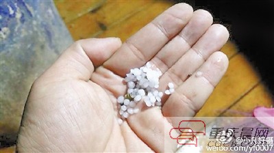 数九寒天下冰雹?重庆的冬天好任性|冰雹|气象台