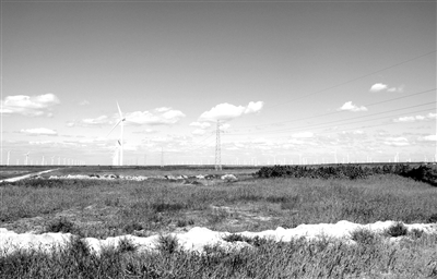 　　吉林白城洮南向阳风电场。杜 铭摄