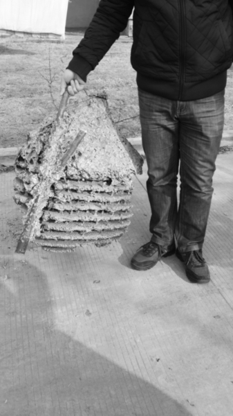 动物的心思你别猜|马蜂窝|马蜂