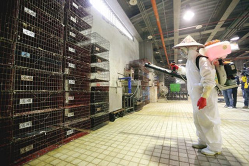 台湾禽流感疫情升温 5县市38养殖场禽类送检|