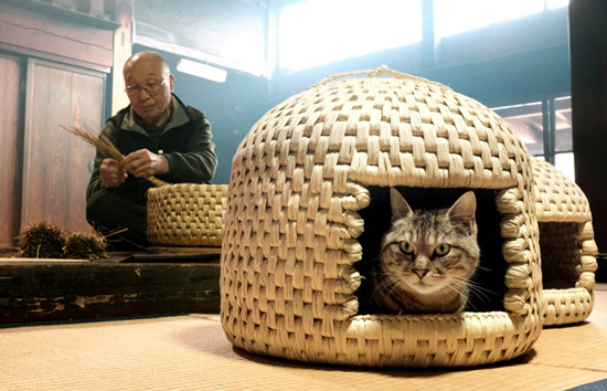 日本流行手工编织“猫窝” 售价逾千元人民币(图)|人民币|日本_凤凰资讯