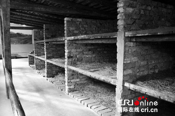 砖块、木板和稻草搭成的床