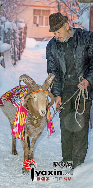 1月27日19时许，二道湾路二巷，达吾提牵着萨卡姆遛弯。 亚心网记者 陈峰 摄