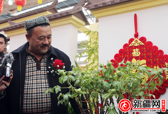 ①“感动中国”十大人物阿里木在展厅内欣赏植物园赠与自己的花王姚黄花苞,该盆花价值10万元。