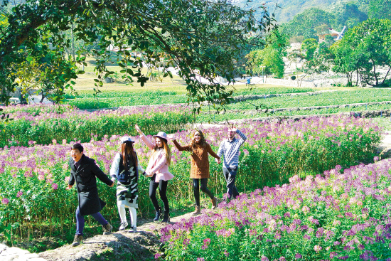 省内闹新春 近郊也精彩|景区|游客
