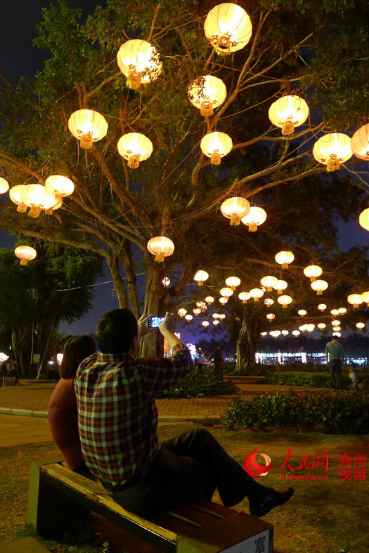 万绿园灯光璀璨